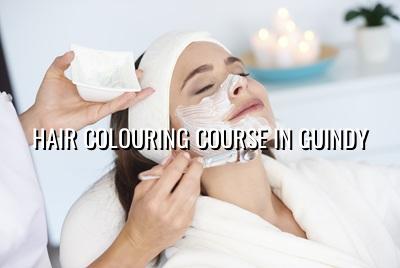 Hair Colouring Course in Guindy | Maarini Beauty Academy