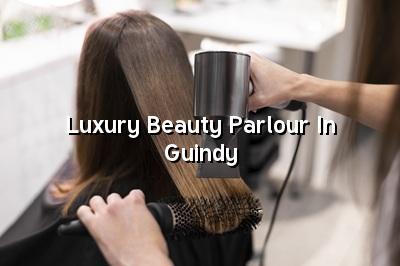 Luxury Beauty Parlour in Guindy